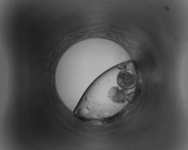X0000098100519200804040749