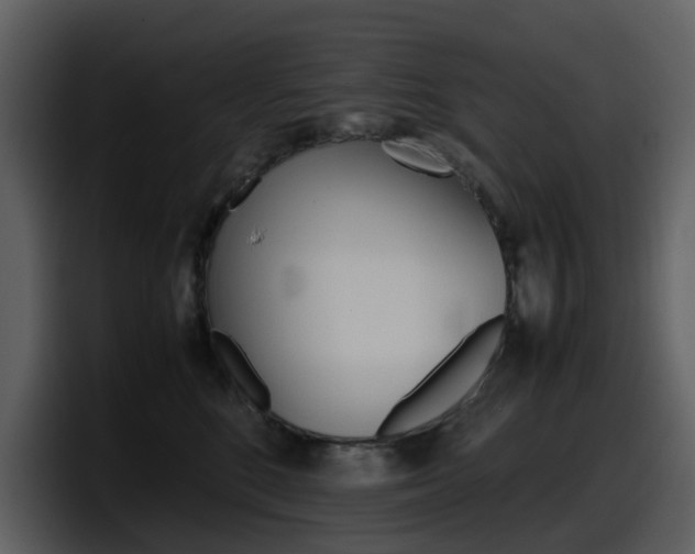 X0000098100520200804040749