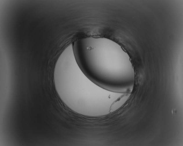X0000098100521200804040749