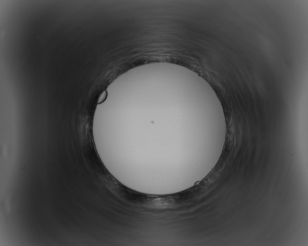 X0000098100522200804040749