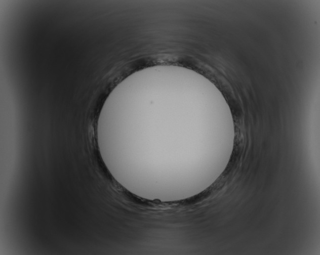 X0000098100523200804040749