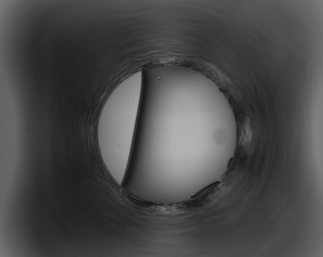 X0000098100524200804040749