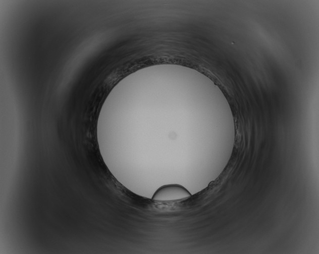 X0000098100526200804040749