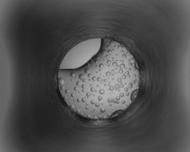 X0000098100527200804040749