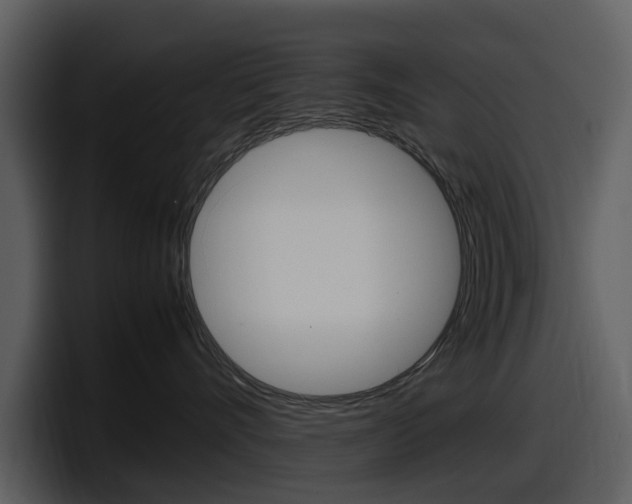 X0000098100528200804040749