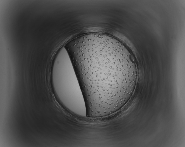 X0000098100529200804040748