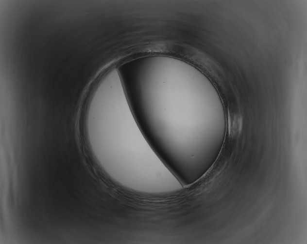 X0000098100531200804040748