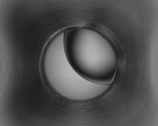 X0000098100532200804040748