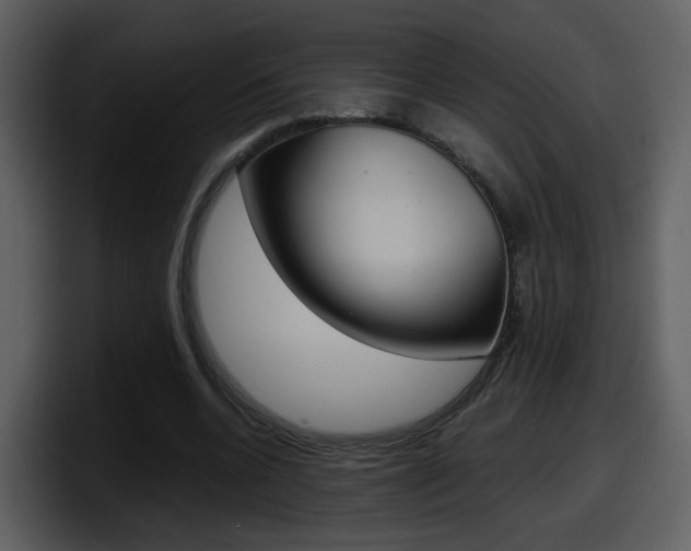X0000098100536200804040748