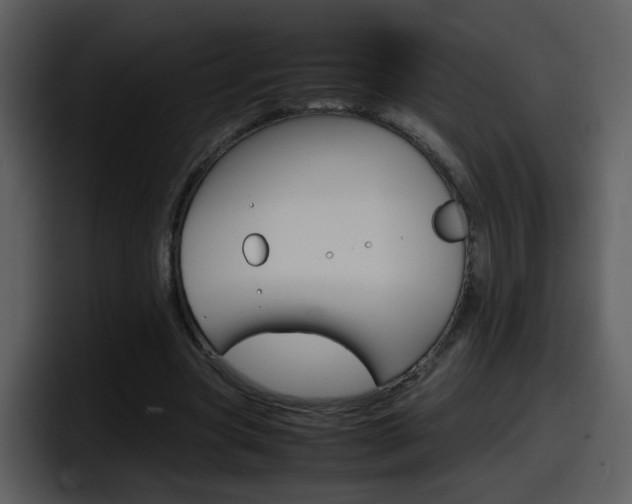 X0000098100537200804040748