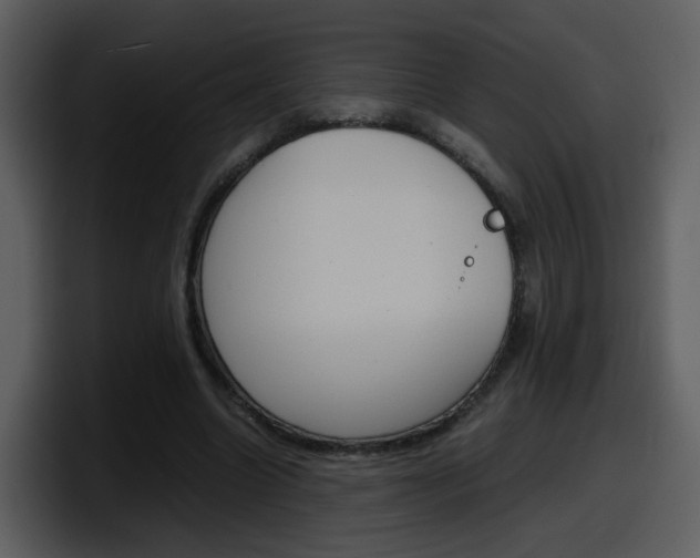 X0000098100538200804040748