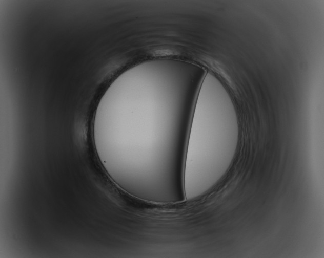 X0000098100539200804040748