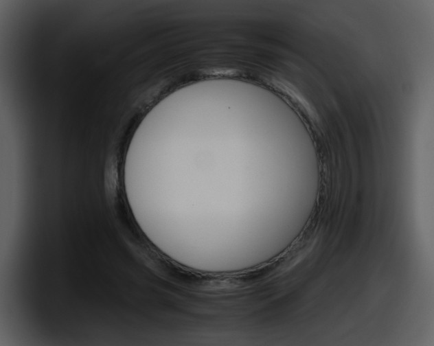 X0000098100541200804040748