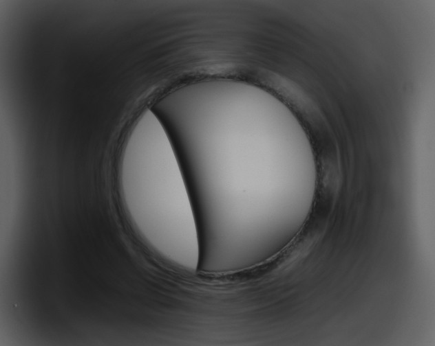 X0000098100542200804040748