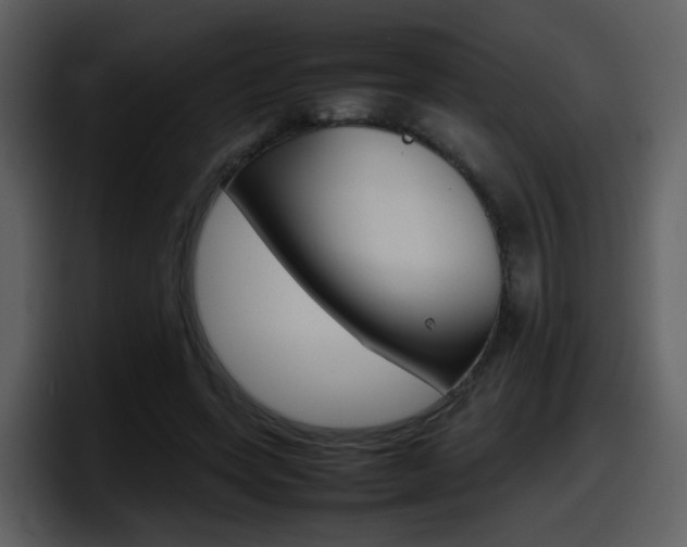 X0000098100543200804040748