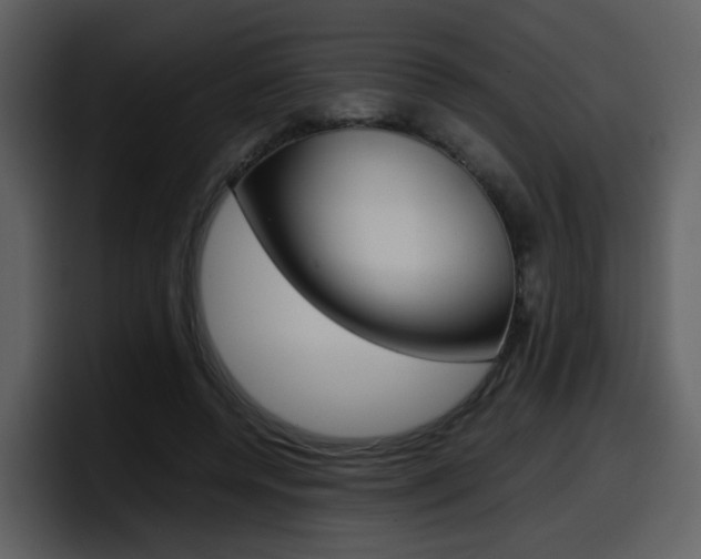 X0000098100544200804040748