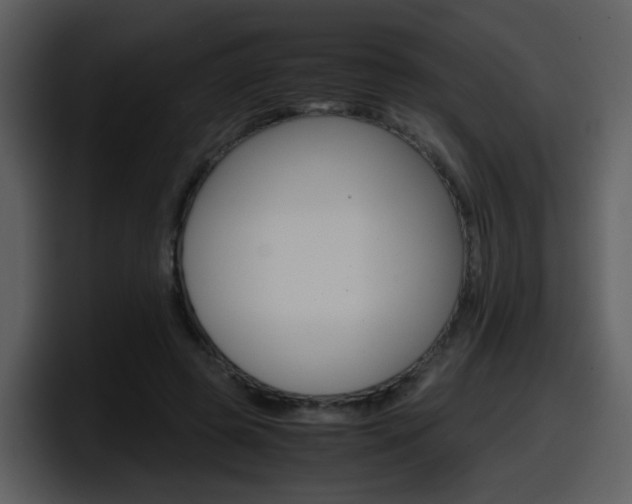X0000098100545200804040748