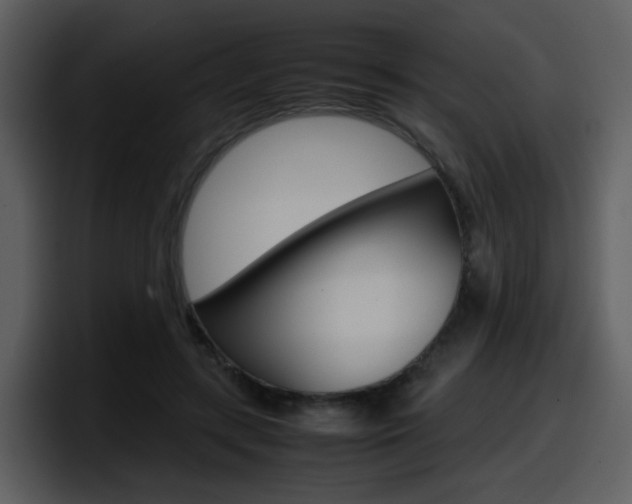 X0000098100547200804040748