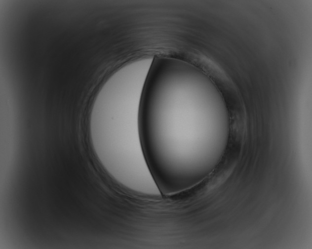 X0000098100548200804040748