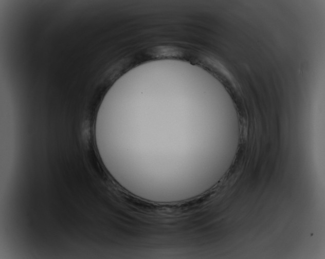 X0000098100549200804040748