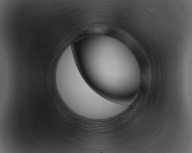 X0000098100552200804040748
