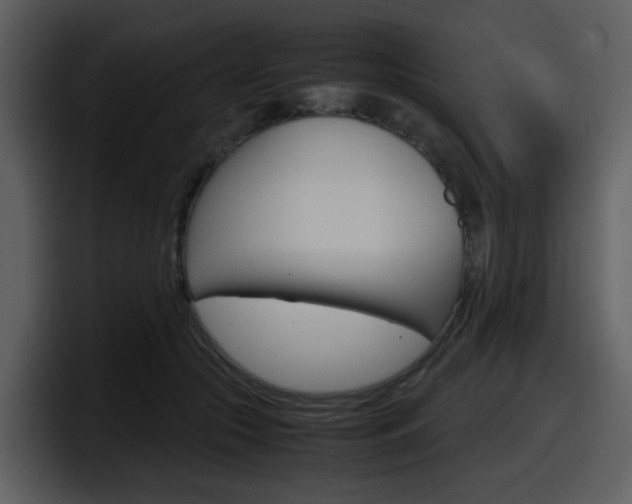 X0000098100553200804040748