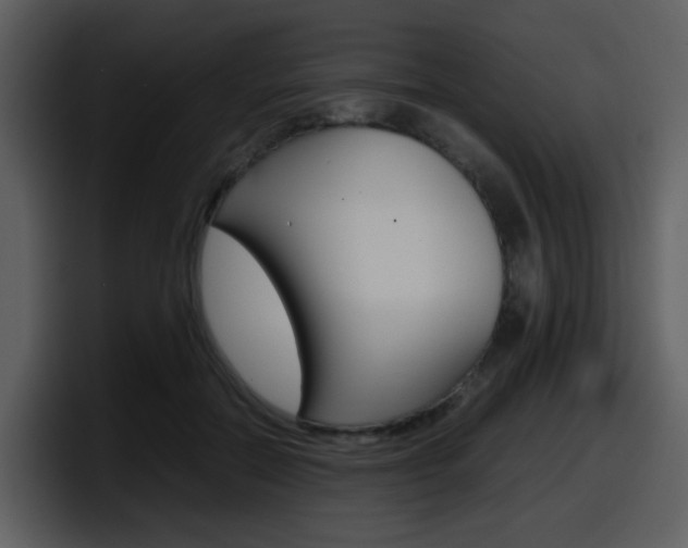 X0000098100554200804040748