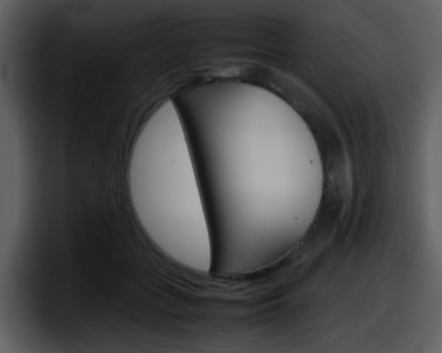 X0000098100555200804040748
