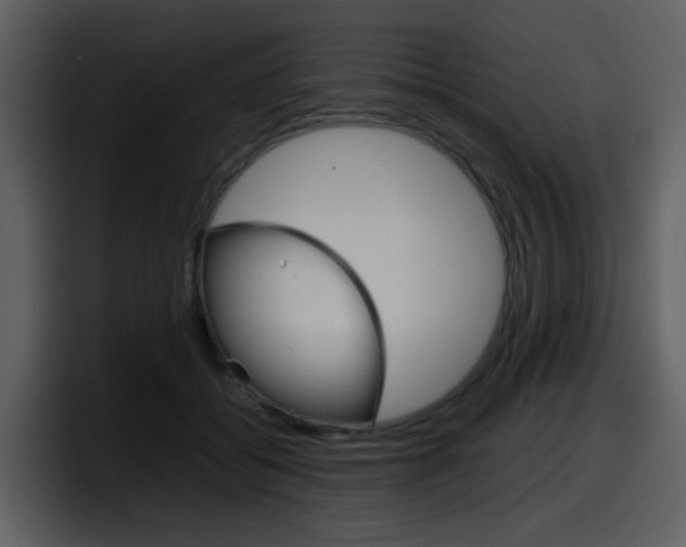 X0000098100556200804040748