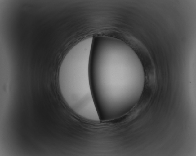 X0000098100558200804040748