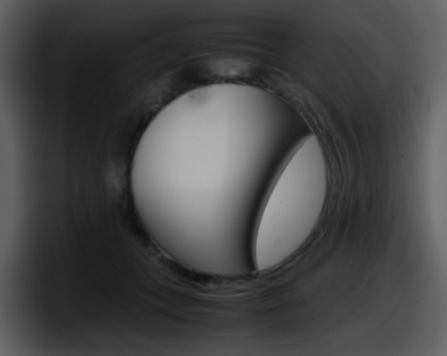 X0000098100559200804040748