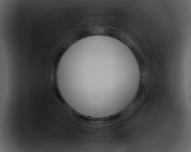 X0000098100561200804040748