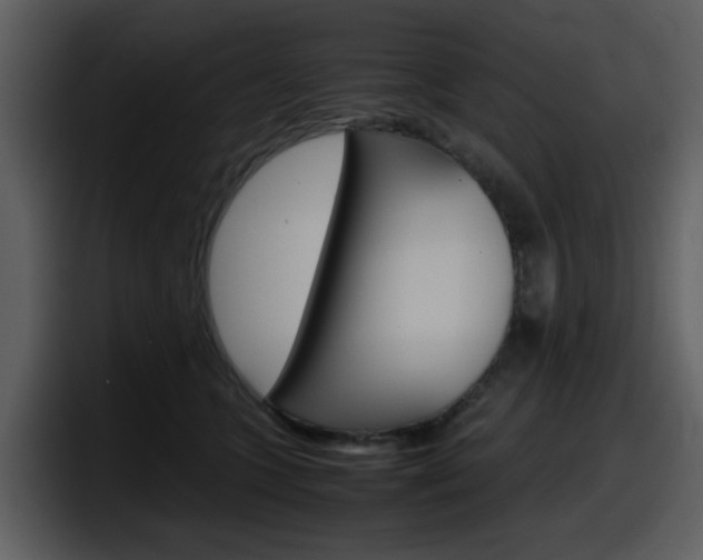 X0000098100563200804040748