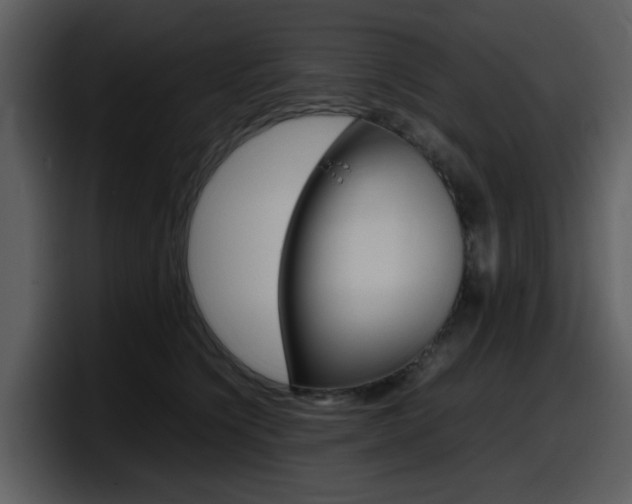 X0000098100564200804040748
