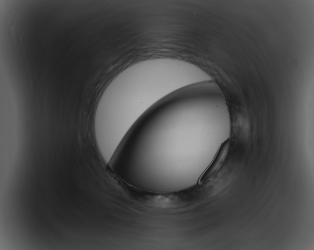 X0000098100566200804040748