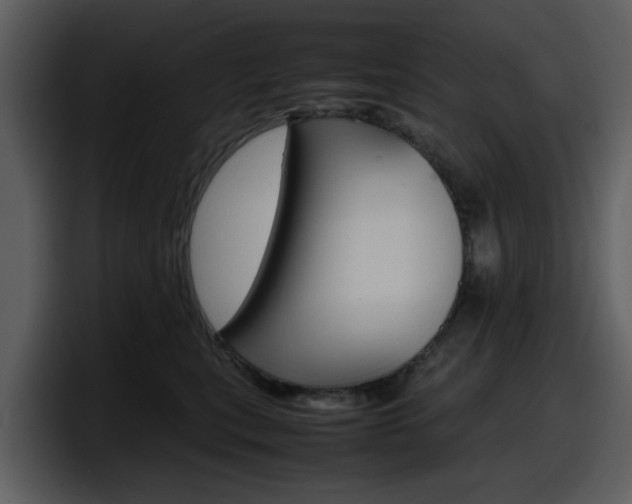 X0000098100567200804040748