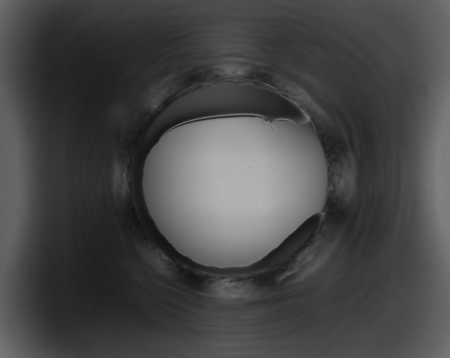 X0000098100568200804040748