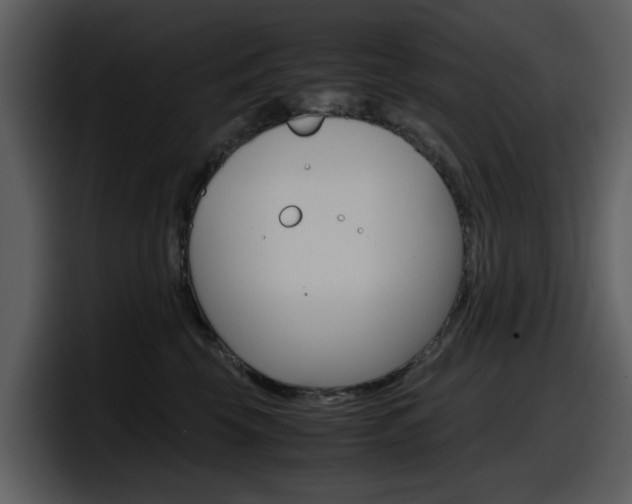 X0000098100569200804040748