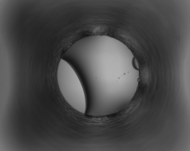 X0000098100571200804040748