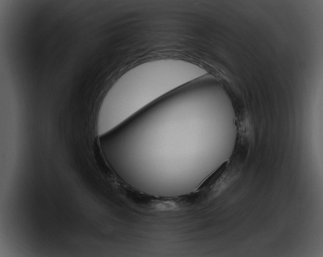 X0000098100572200804040749