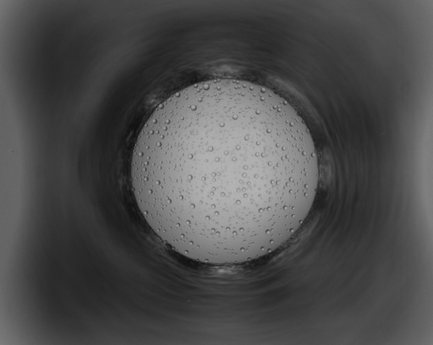 X0000098100573200804040749