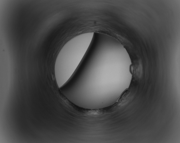 X0000098100574200804040749