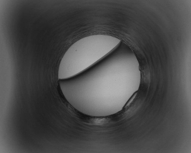 X0000098100575200804040749