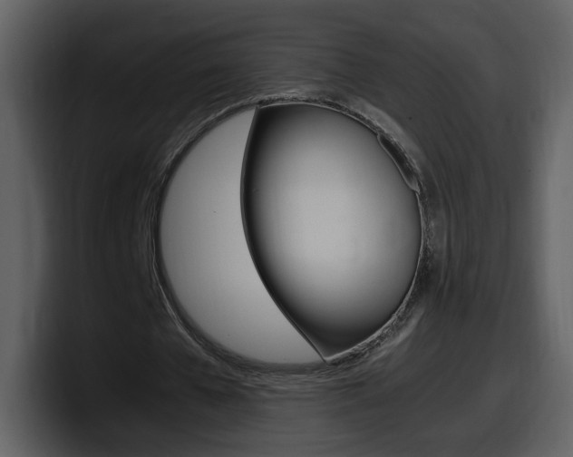 X0000098100577200804040748