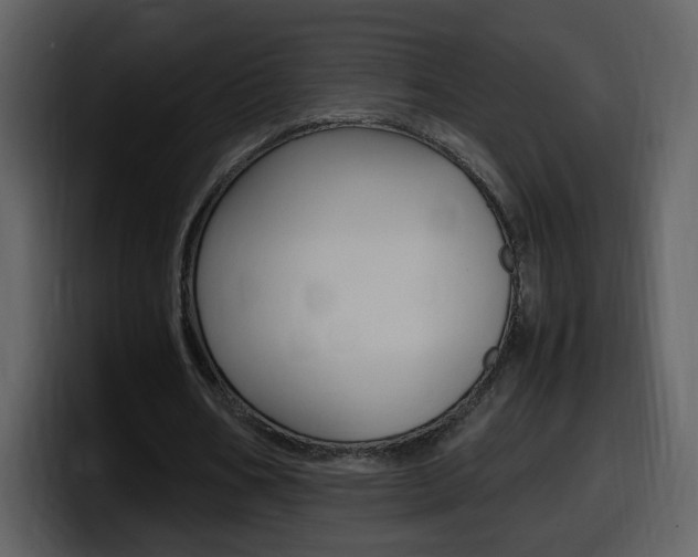 X0000098100578200804040748