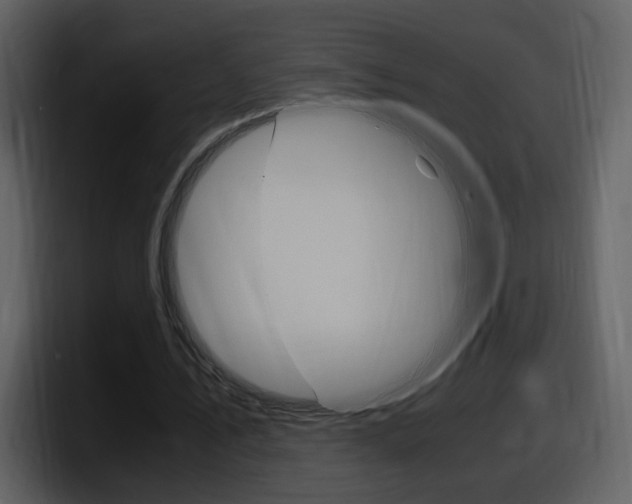 X0000098100579200804040748