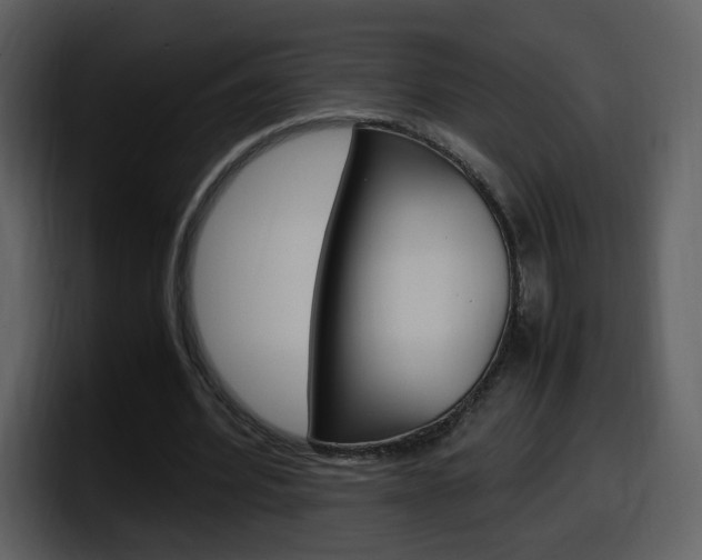 X0000098100580200804040748
