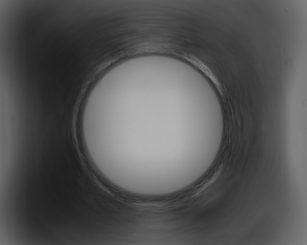 X0000098100581200804040748