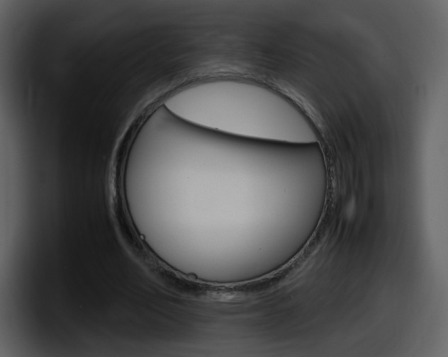 X0000098100582200804040748