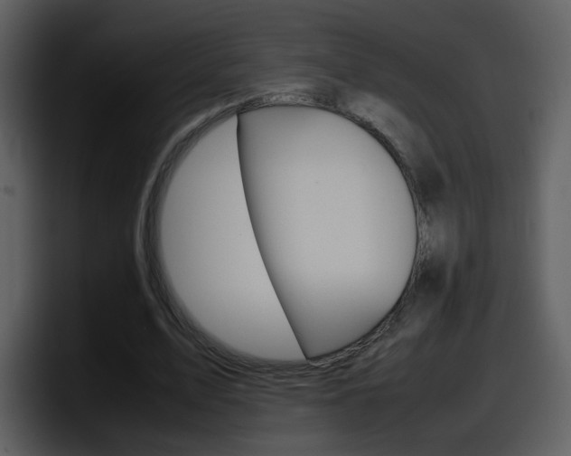 X0000098100583200804040748